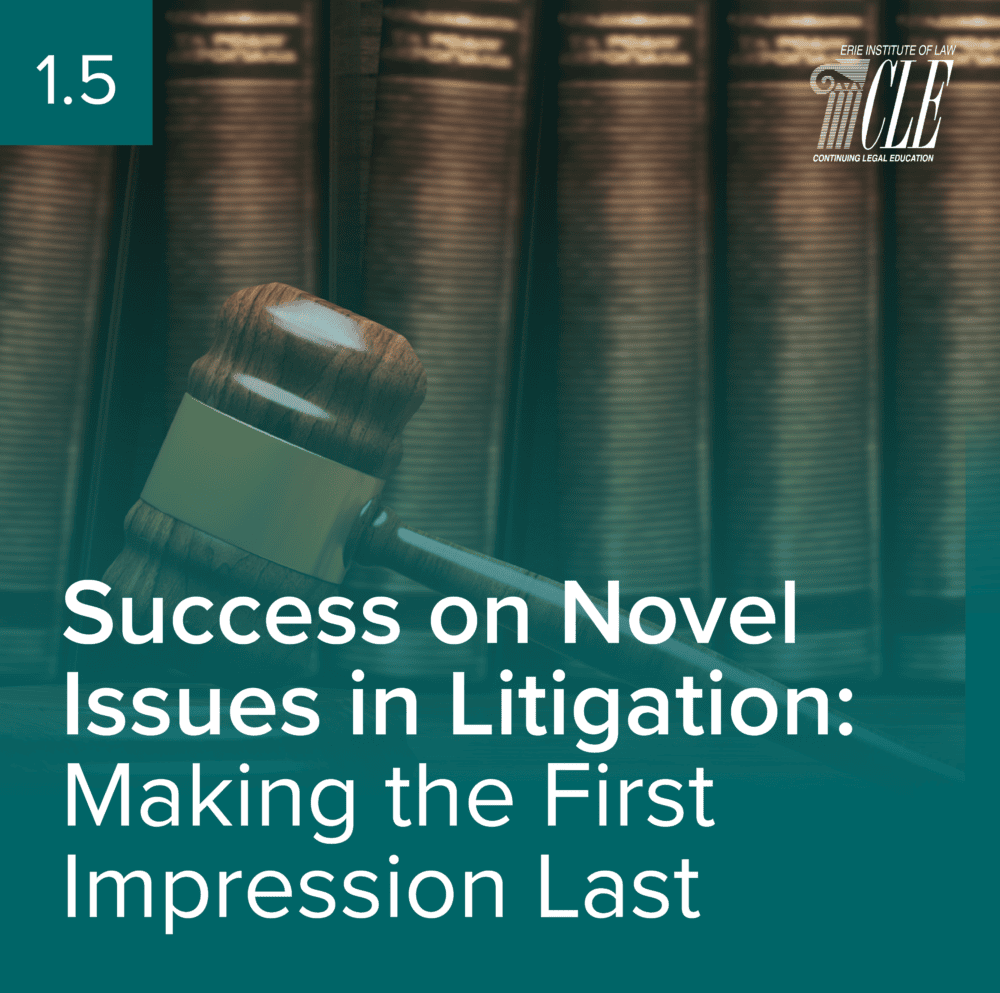 #2480 Success on Novel Issues in Litigation: Making the First Impression Last