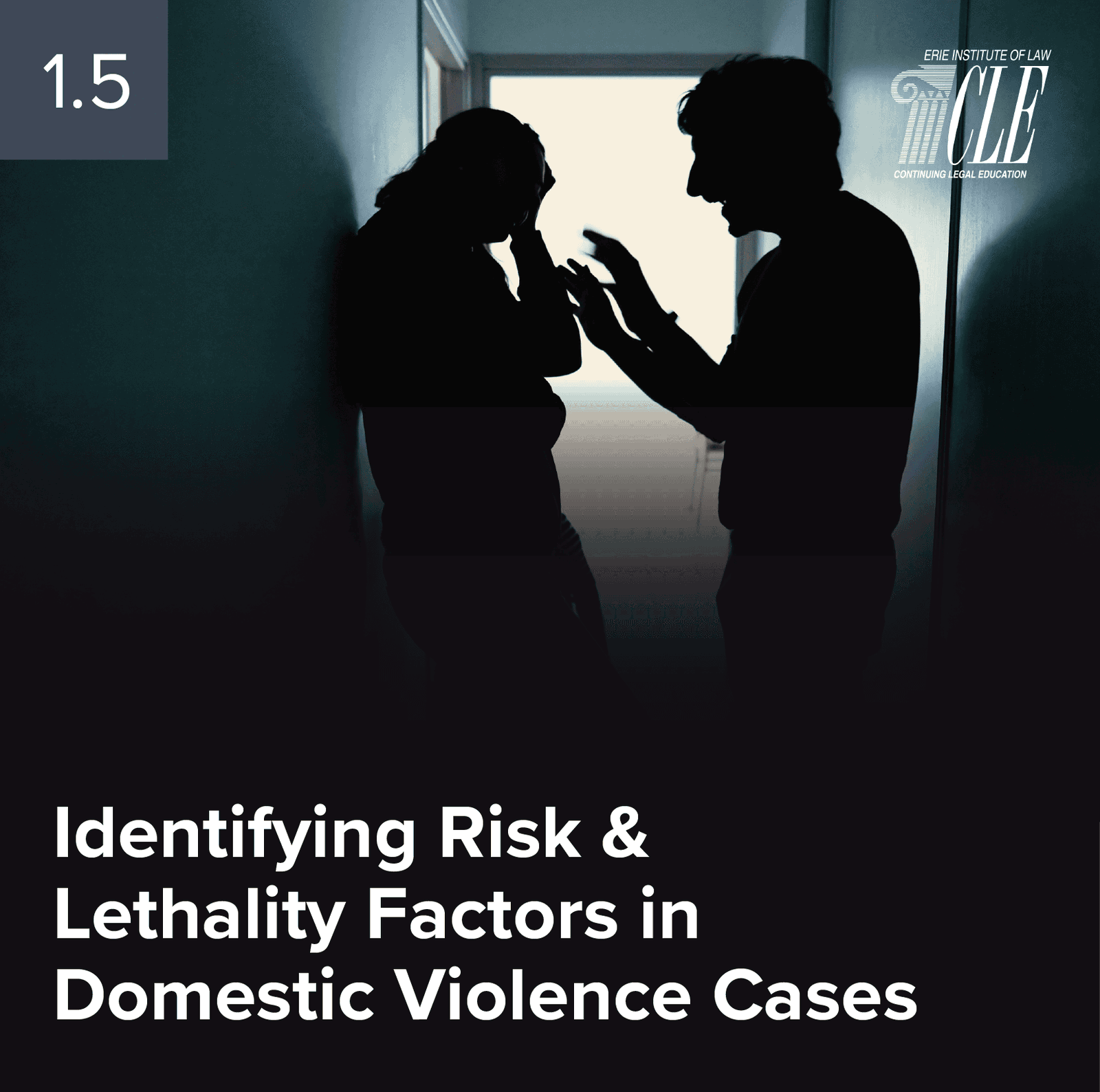 #2515 Identifying Risk and Lethality Factors in Domestic Violence Cases