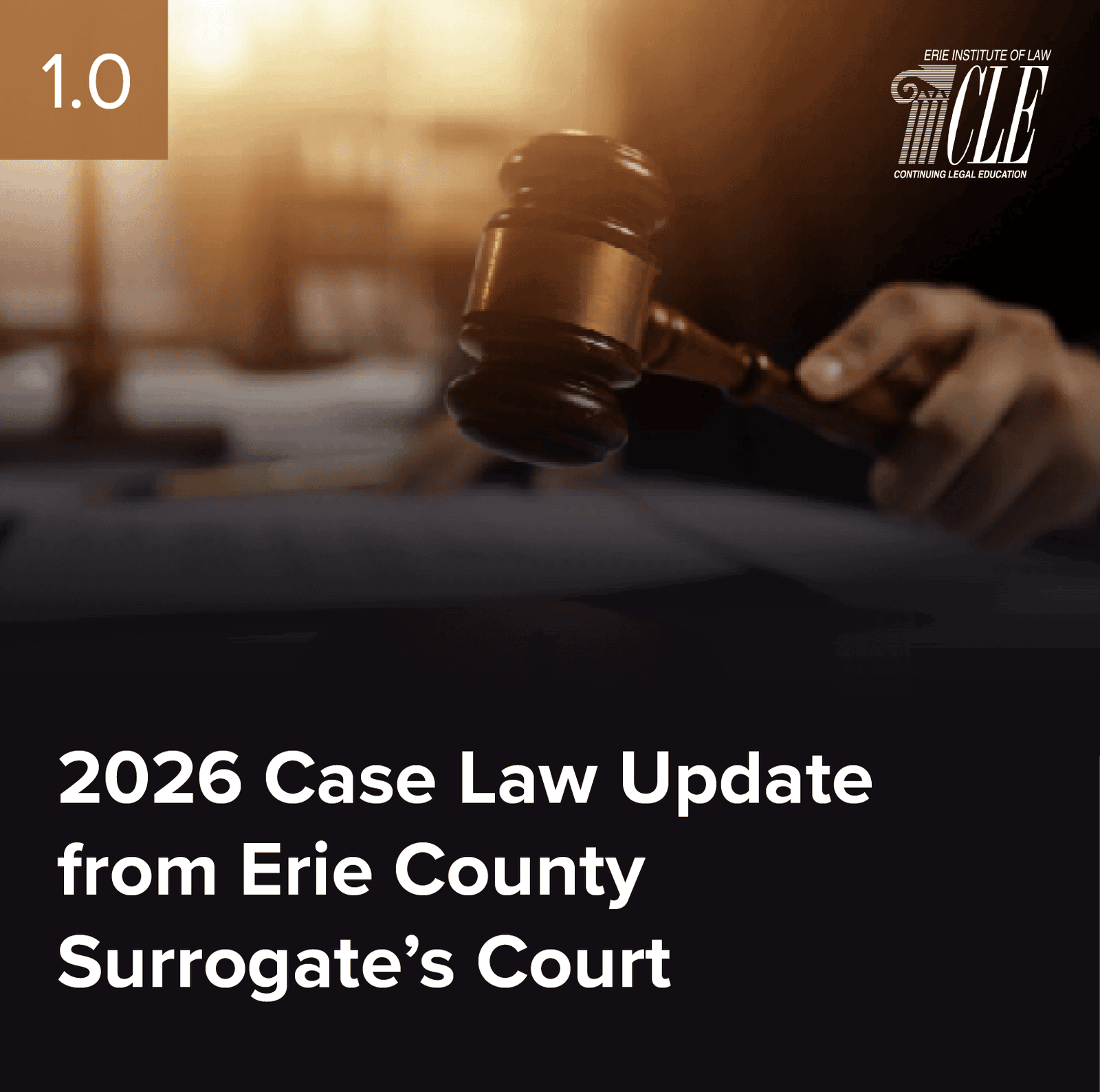 #2517 2026 Case Law Update from Erie County Surrogate’s Court