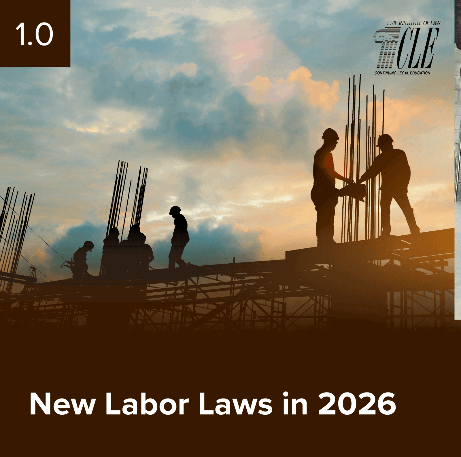 #2516 New Labor Laws in 2026