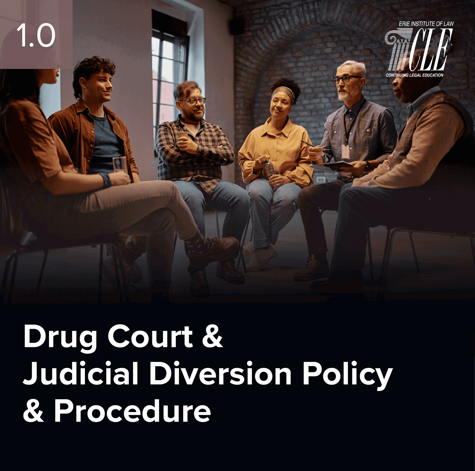 #2520 Drug Court & Judicial Diversion Policy & Procedure